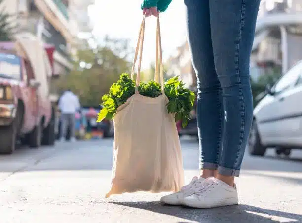 chaussures vegan 